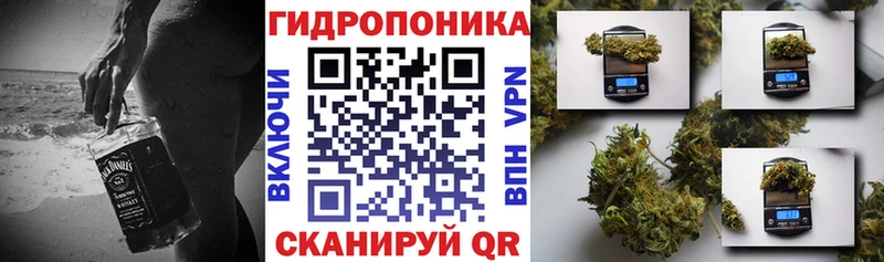 Купить закладку Канабис Кокаин MDMA Мефедрон ГАШ A PVP АМФ Галлюциногенные грибы Назрань