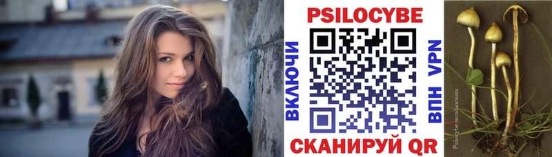 Купить закладки  Назрань  Псилоцибиновые грибы мицелий 